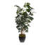 91"H Artifical Fishtail Palm Tree in Black Tapered Tin Pot