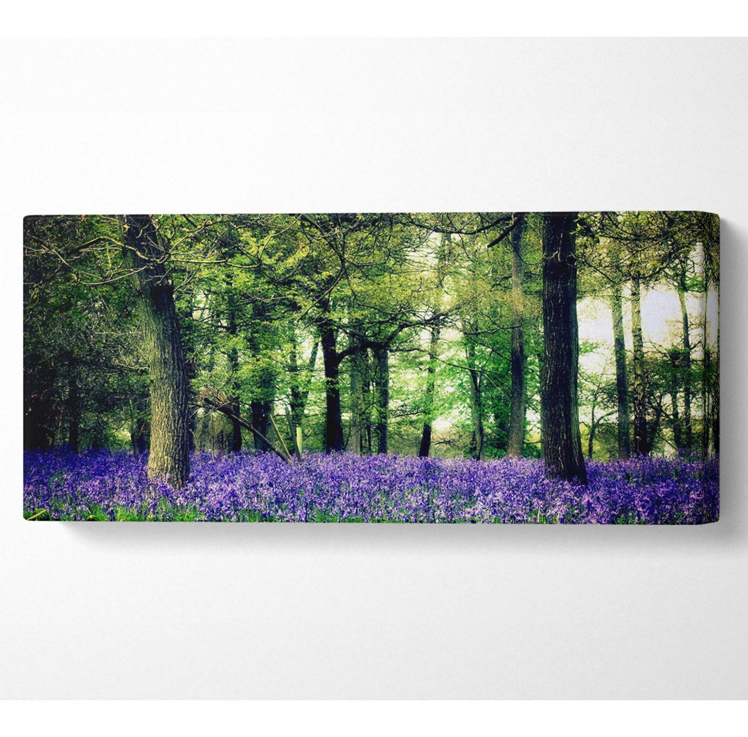 Bluebell Woodland - Kunstdrucke auf Leinwand - Wrapped Canvas