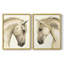 Impression encadrée Golden Palomino I-Premium - prête à être accrochée - aucun clou requis - aucun clou requis-552489541-552489543