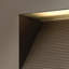 Atlantis 2-Light Outdoor Flush Mount-505793424-505793428