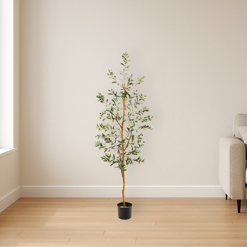 Olive Artificial Tree, 66" H x 13" W x 13" D