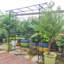 Arche de jardin en métal L80,3 po x l 20,47 po x H 81,1 po
