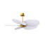 Alessandra Tropical - Five Blade Ceiling Fan - Matte White Finish - Matte White Blades-1004283680-1004283730