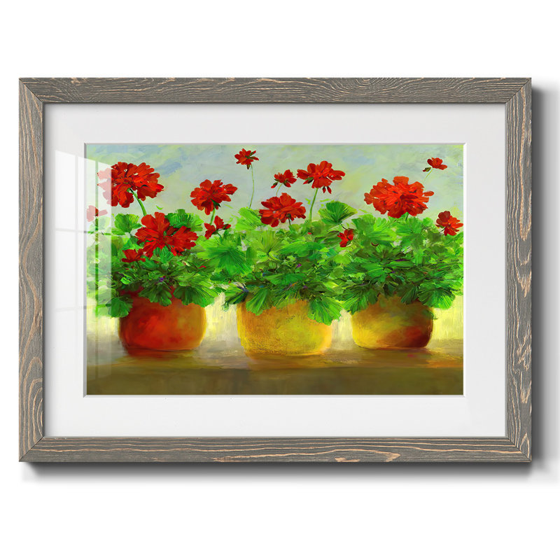 Geraniums III, reproduction d'art encadrée, Gris, H 26 po x l 38 po x P 1,5 po