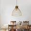 Sondra 1 - Light Dome Pendant