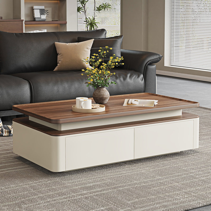 Table basse moderne avec rangement rectangulaire, H 17,7 po x L 39,4 po x l 19,7 po, Bois brun / blanc