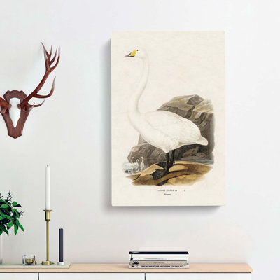 Whooper Swan by Von Wright - Wrapped Canvas