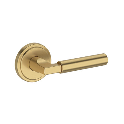 Lake Forest Half Dummy Lever with Stepped Round Rose in Matte Black