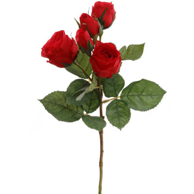 Tige de Rodriquez Roses