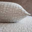 Croc Pillow Sham-48885635