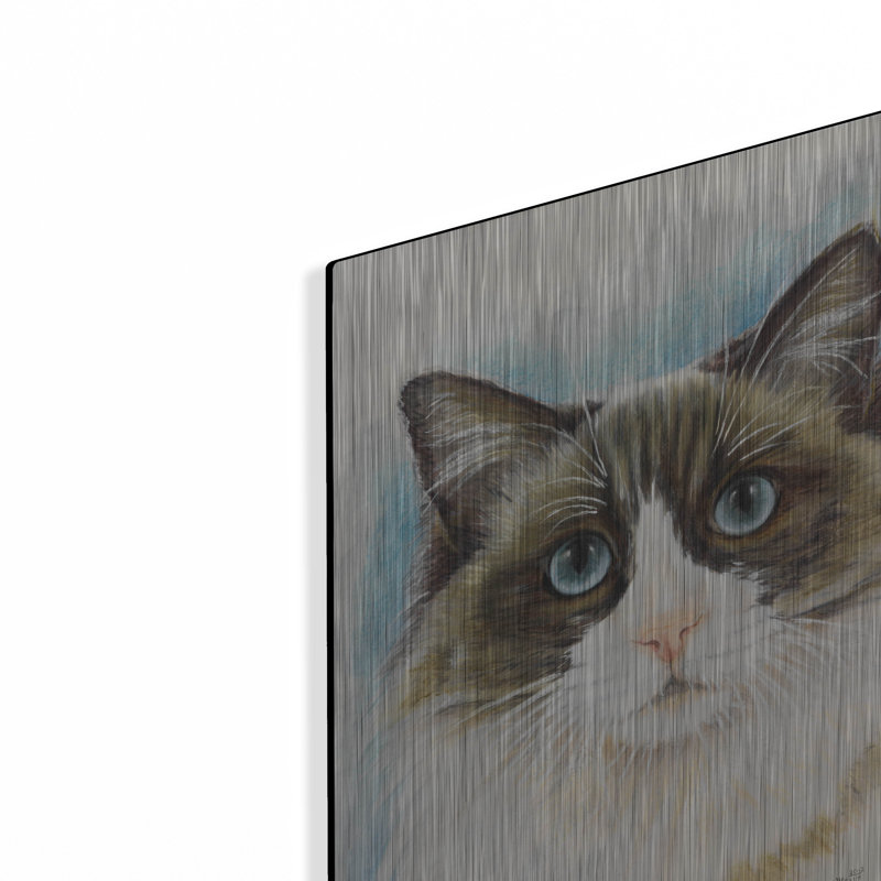 " Ragdoll 2 " by Barbara Keith, 16" H x 12" W