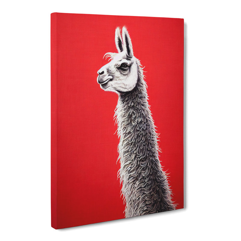 Llama Portrait Vol.2 - Wrapped Canvas, 50cm H x 35cm W x 3cm D