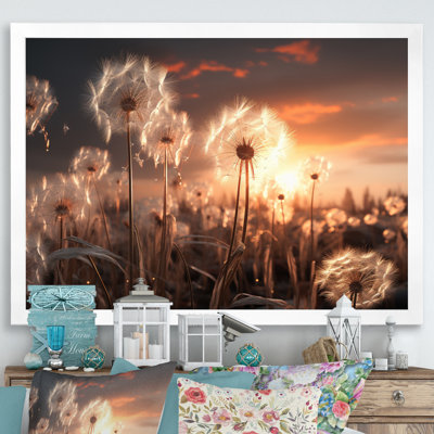 " Sunset Dandelion Field III "