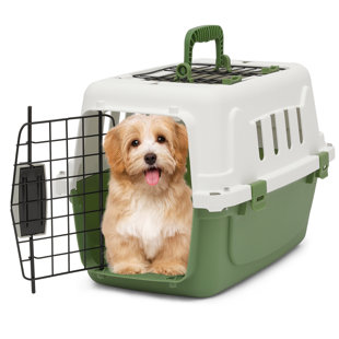 Petmate Pet Porter Dog Kennel, 24inch Length, 15 to 20lbs, Pale Aqua and  Black 