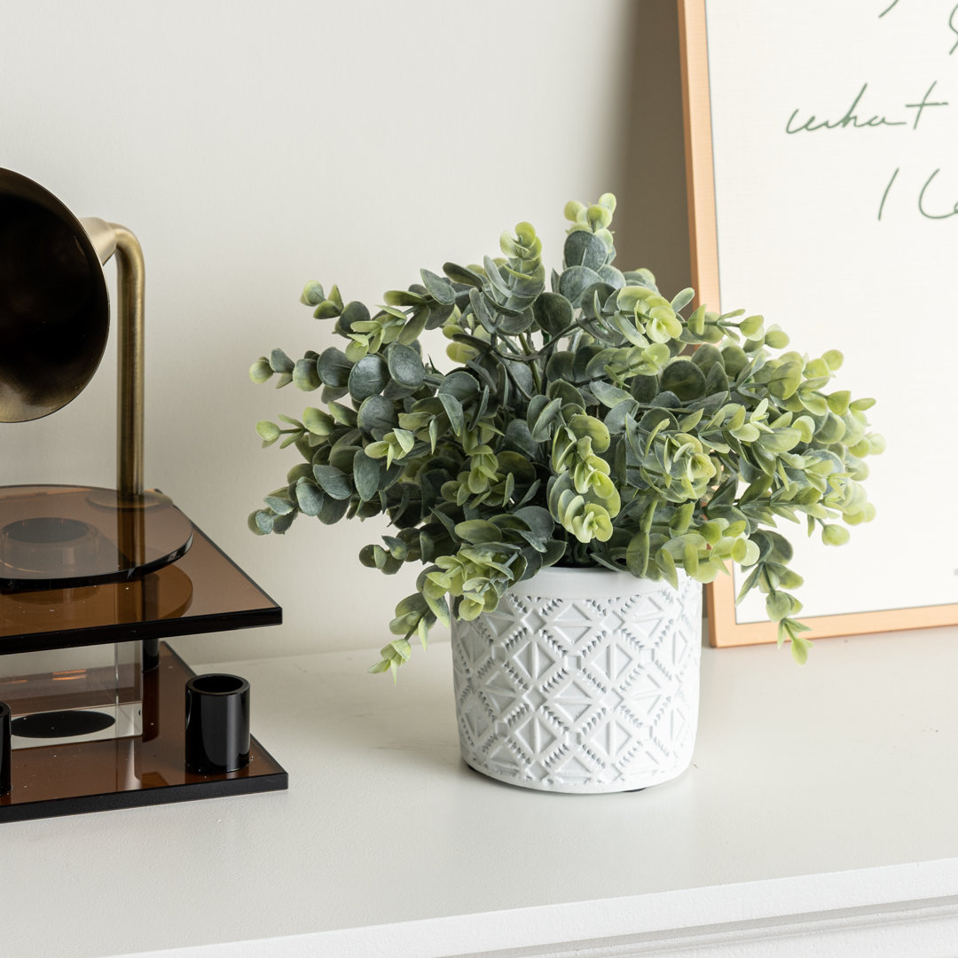 Faux Eucalyptus Boxwood Plant in White Cement Pot Primrue