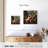 Leisha Venus And Adonis 1554-111897161
