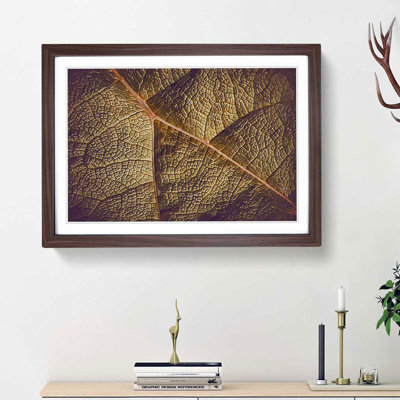 Paths of the Leaf - Picture Frame Photograph Print