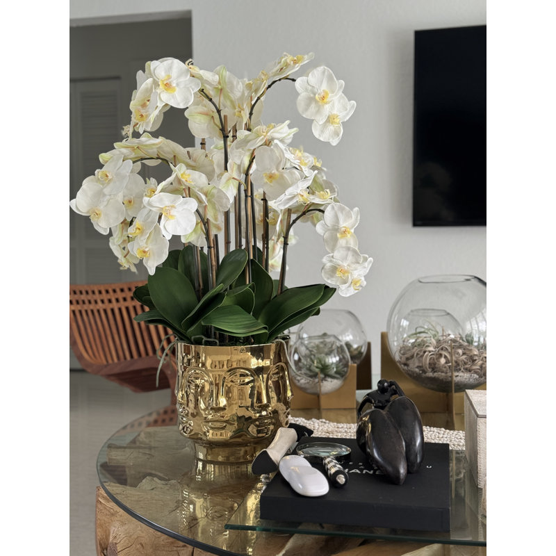 Orchid Floral Arrangement in Vase