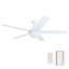 Ventilateur de plafond avec lumière DEL Ashby-615486237