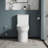 1.1/1.6 GPF Elongated One-Piece Toilet 16.3 ADA Height Floor Mounted With Soft Close Seat, CUPC Watersense Cetified, Ceramic, White