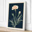 Classical Carnation Study Botanical - Wrapped Canvas-839063110-839063117