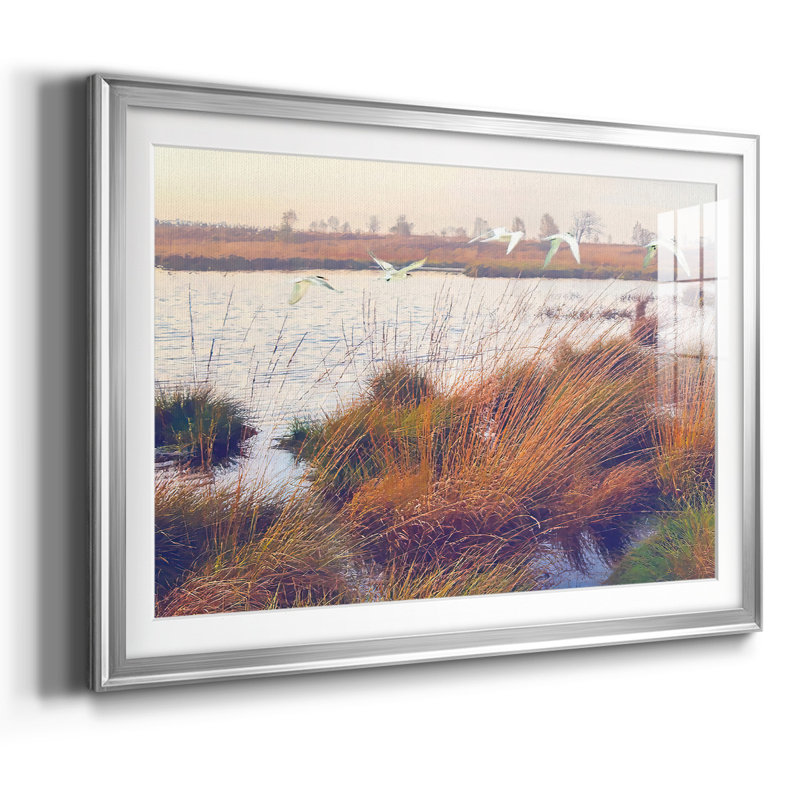 Marshland Hues I, reproduction d'art encadrée, Argent, H 19 po x l 27 po x P 1,5 po