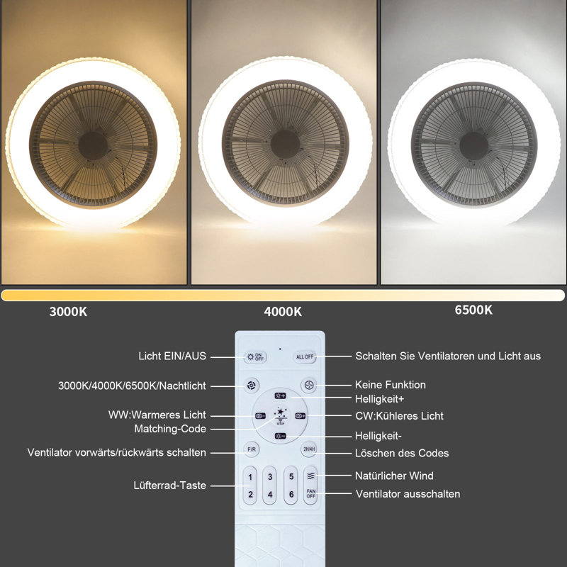 Ceiling Fan with LED Lights