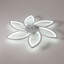 Chantily Ceiling Fan with LED Lights