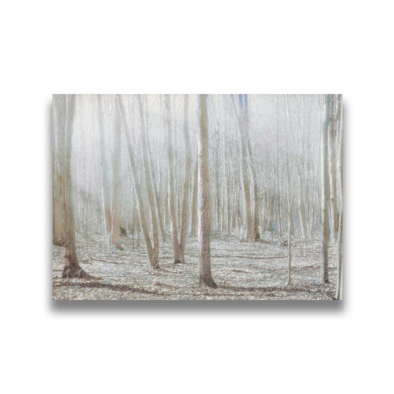 Lumière dans la forêt par Hal Halli. Impression sur papier - Montée et encadrée, H 34 po x l 44 po