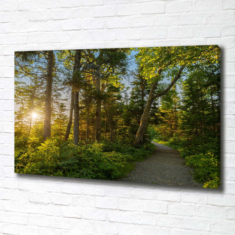 Forest - Wrapped Canvas Print