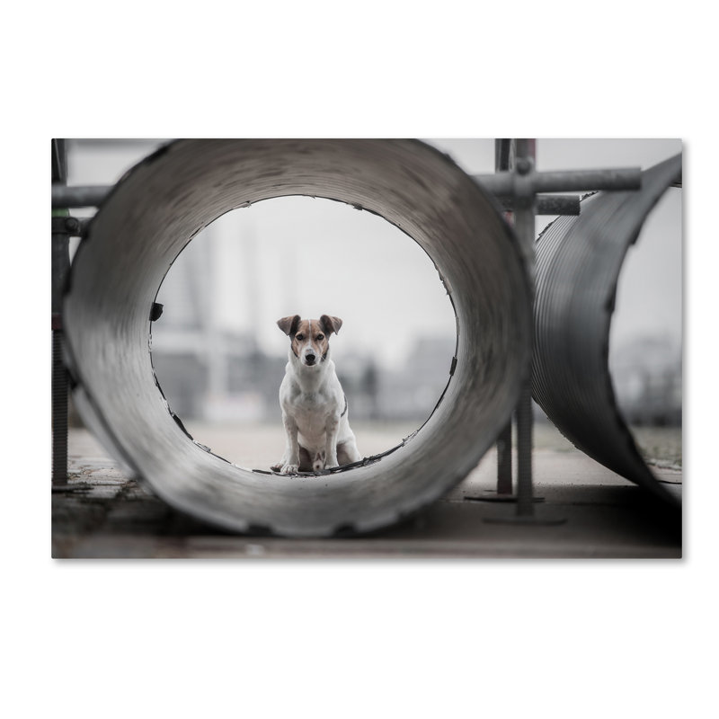 « my name is bond », reproduction de photo sur toile tendue, H 12 po x l 19 po