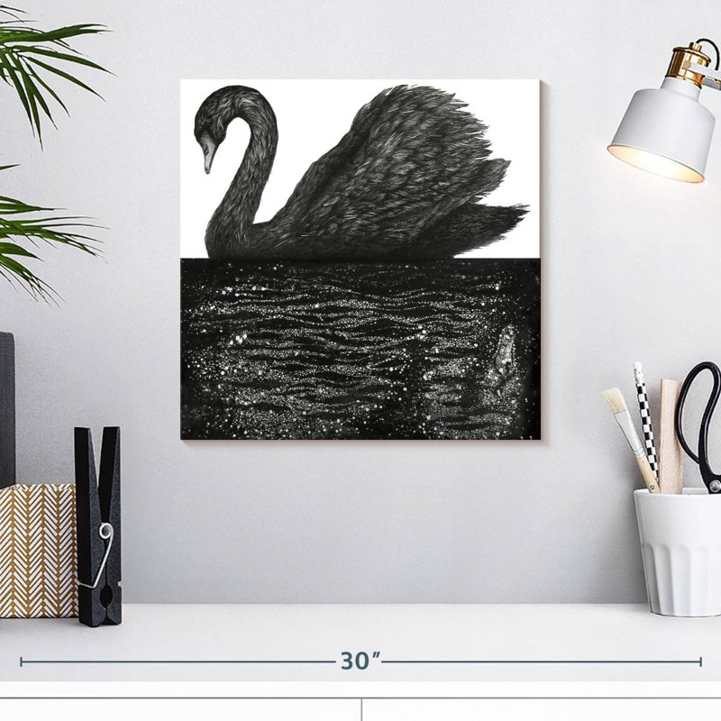 Brampt Black Swan Reflection, 16" H x 16" W