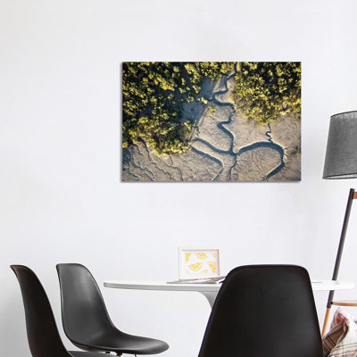 Raft Point Abstract Mangroves Aerial 1 Piece Wrapped Canvas Wall Art