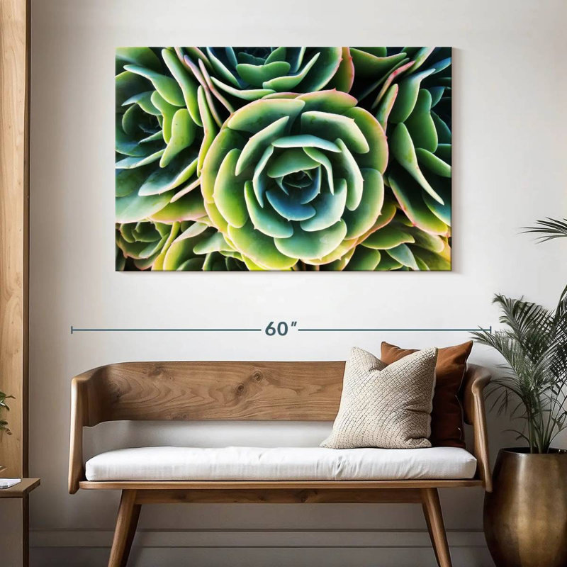 Harnek Succulent Rose, 32" H x 48" W