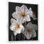 Monochromes blancs jaunes botaniques jonquilles I - jonquilles murales-1638424060-1638424061