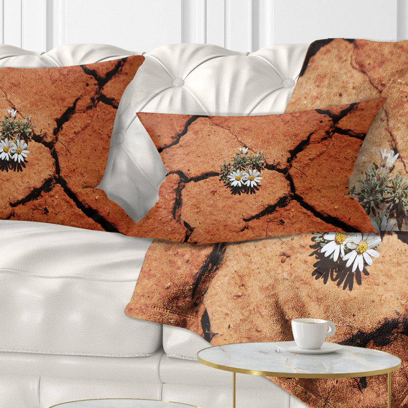 Coussin lombaire paysage avec fleurs survivant sur la sécheresse