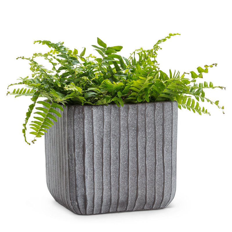 Planter Box, 6.5" H x 6.5" W x 6.5" D, Gray