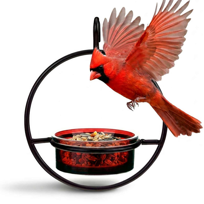 Mangeoire à plateaux mortra, Rouge