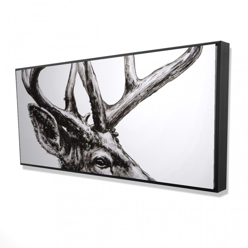 Roe deer plume - 24"x48" Framed canvas