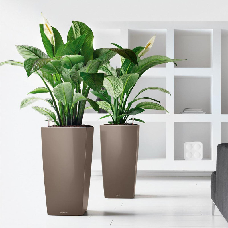Cubico Planter Box, Taupe, 95 cm H x 50 cm W x 50 cm D