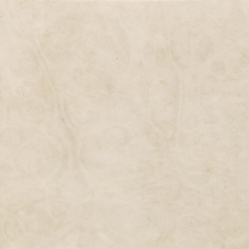 Caracole Classic Coffee Table