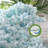 High Quality Memory Foam Plush Support Pillow-66676458