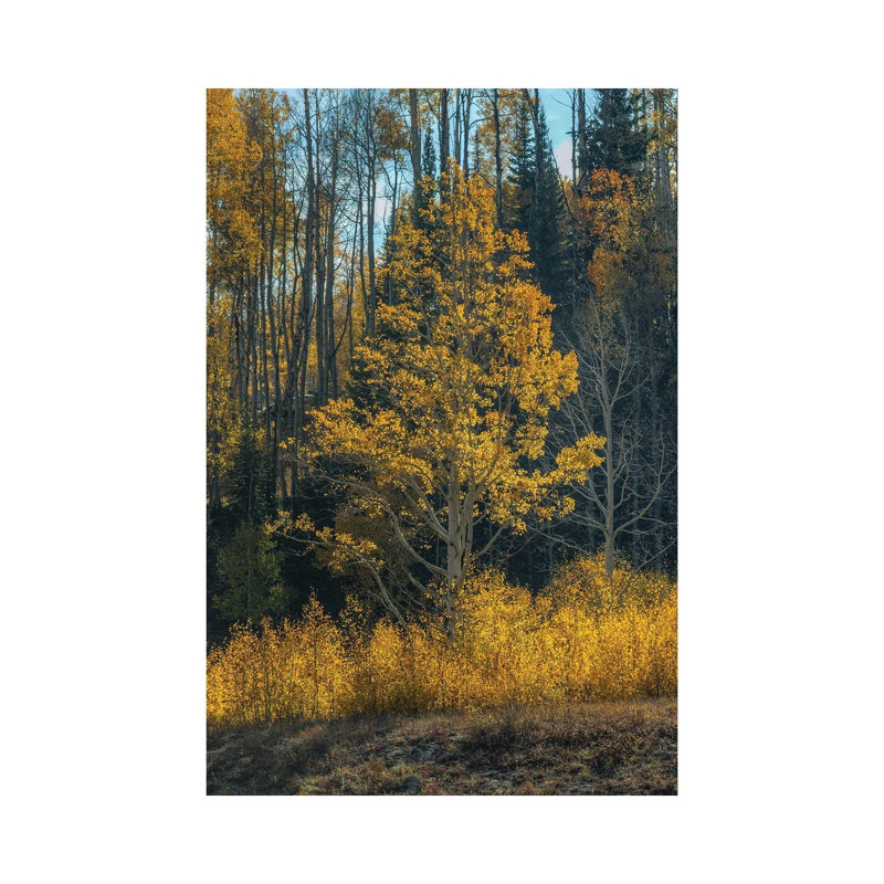 Tree Of Fire by Bill Sherrell - Wrapped Canvas Print, 30.48cm H x 20.32 W x  1.905cm D