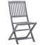 Ensemble de 2 chaises d'extérieur vidaXL
