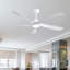 Ventilateur de plafond à 5 pales éclairé avec lampe DEL et télécommande Fergus