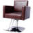 Beauty Shampoo Barbering Chair
