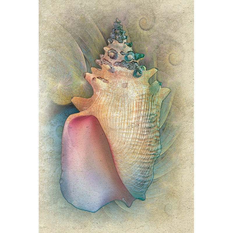 Aquatica IV by Steve Hunziker - Wrapped Canvas Painting, 76cm H x 51cm W x 3.8cm D