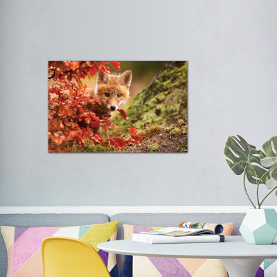 « fox », reproduction de photo sur toile tendue