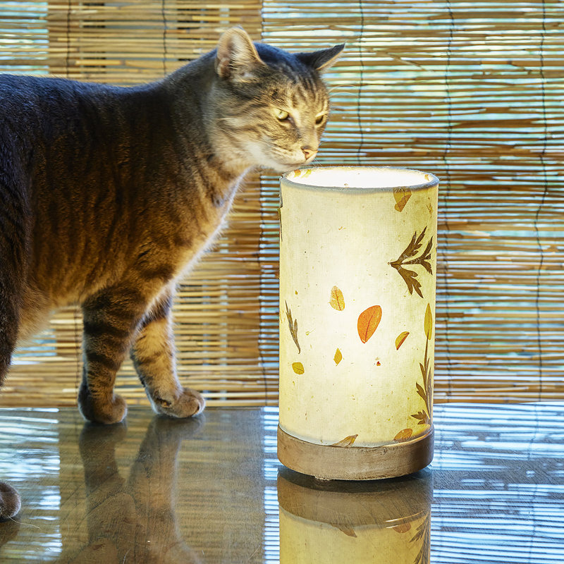 Lampe de table 9 po