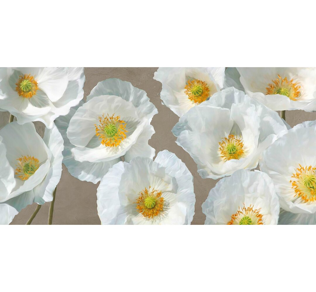 Leinwandbild Poppy Arrangement von Leonardo Sanna